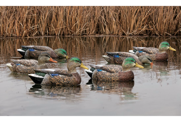 Чучела на утку Avian-X Early-Season Mallard Decoys