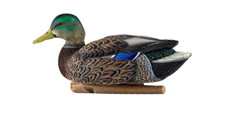 Чучела на утку Avian-X Early-Season Mallard Decoys