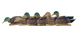 Чучела на утку Avian-X Early-Season Mallard Decoys