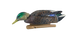 Чучела на утку Avian-X Early-Season Mallard Decoys