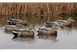 Чучела на утку Avian-X Early-Season Mallard Decoys