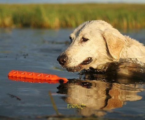 Поноска Avery Hexa Training Bumper 2 Orange