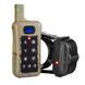 Електронний ошийник Trainertec DT 3200