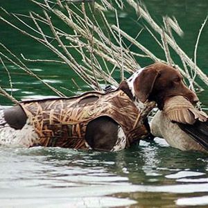 Жилет для собак Avery Boater's Dog Parka