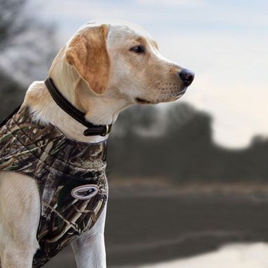 Жилет для собак Avery Boater's Dog Parka