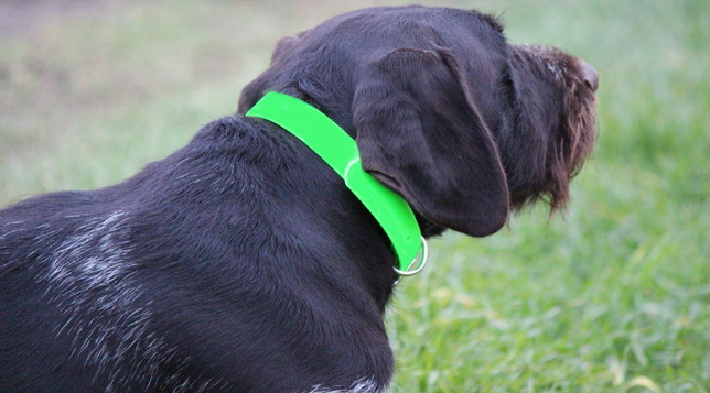 Ошейник Duckhunt PVC 25 Lime Green