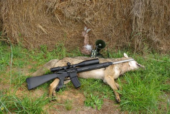 Чучело раненого зайца Lucky Duck Quiver Critter