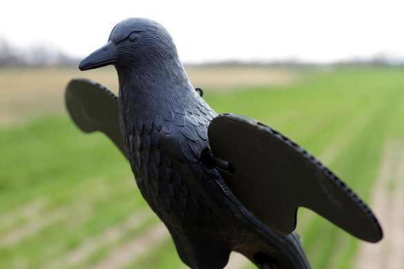 Чучело вороны MOJO Crow