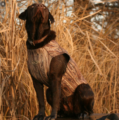 Жилет для собак Avery Standart Dog Parka MAX-5