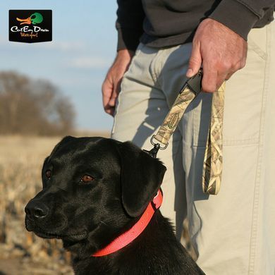 Повідець Avery Trainer's Lead MAX-5