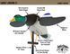 Чучело селезня Lucky Duck Junior II