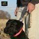 Повідець Avery Trainer's Lead MAX-5