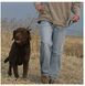 Поводок Avery Standart Leash MAX-5