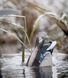 Чучело утки Lucky Duck Quiver Duck Butt HD