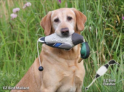 Поноска  (кряква) Avery EZ Bird Mallard