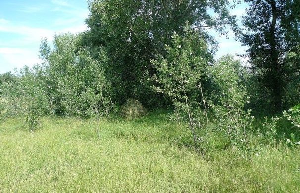 Скрадок Маскировочный Автоматический