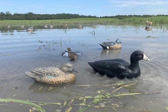 Чучела лысухи MOJO Coot Confidence Decoys (6-pack)