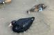 Чучела лысухи MOJO Coot Confidence Decoys (6-pack)