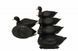 Чучела лысухи MOJO Coot Confidence Decoys (6-pack)