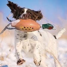 Поноска фазан Pheasant Dokken's DeadFowl