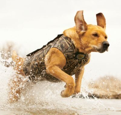 Жилет для собаки Cabela's Neoprene Dog Vest